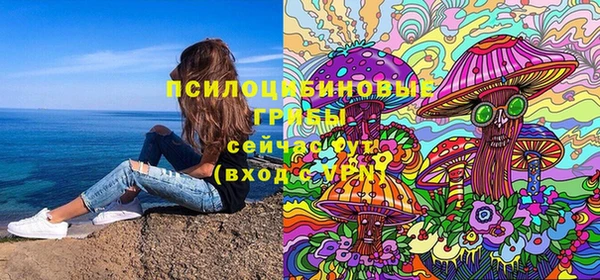 соль курить ск Ельня