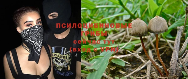 гашишное масло Дмитров