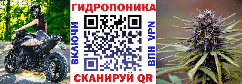 Купить  Томмот  Шишки марихуана конопля 